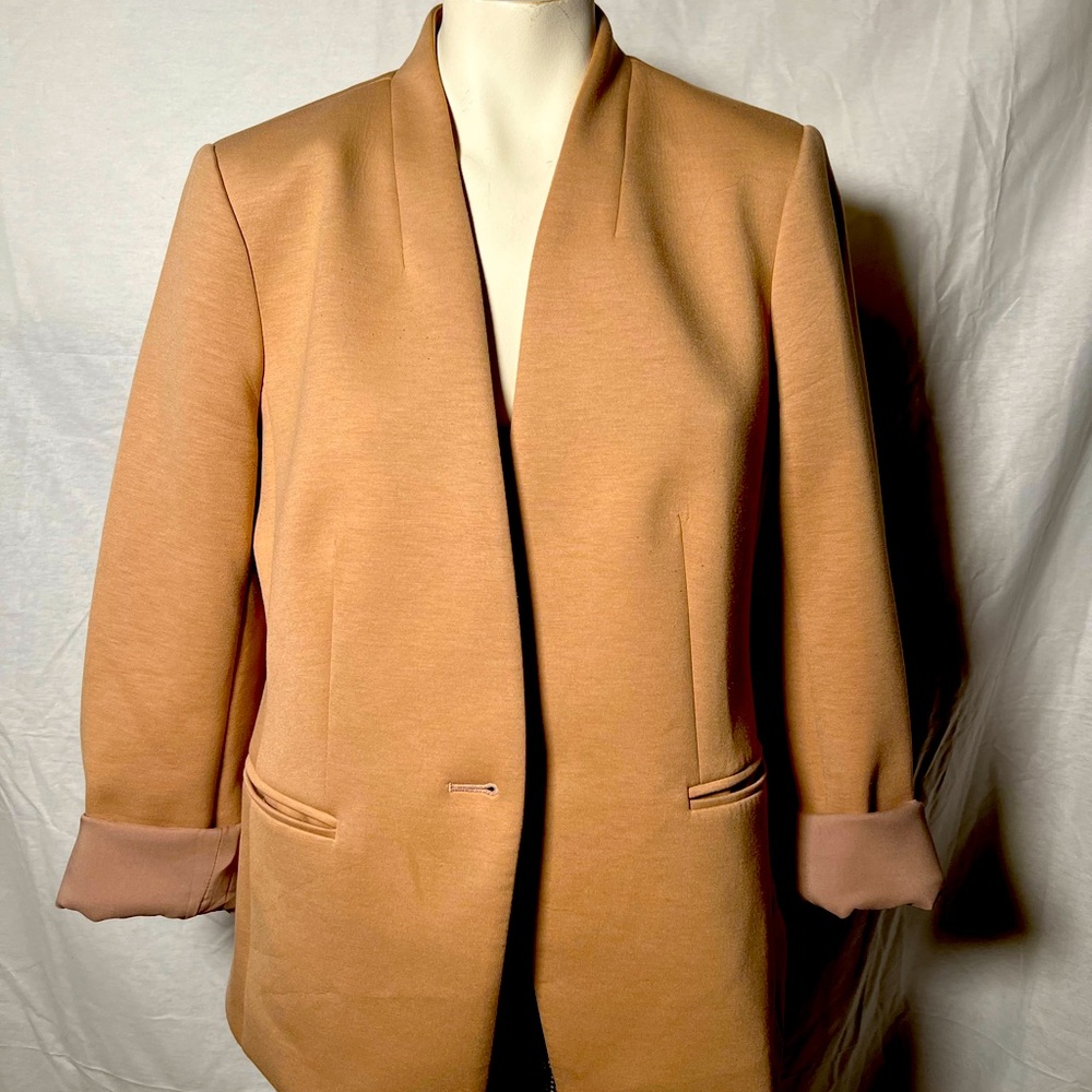 Ann Taylor Chic Camel Blazer For Timeless Elegance